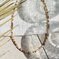 Lesen Palm And Sky Bewertungen